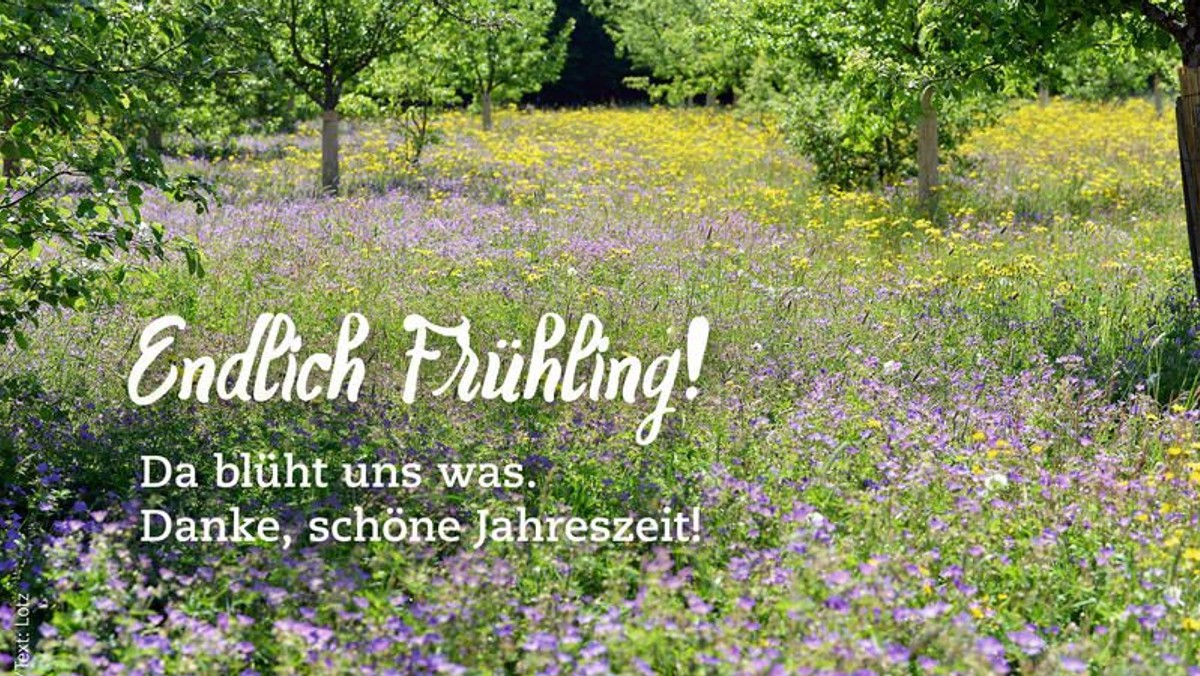 Gutes Wort für den 20. März