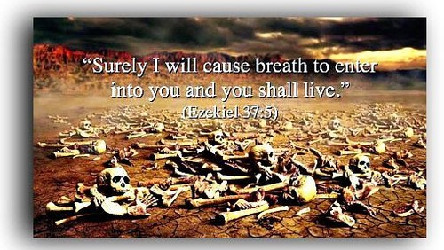 Sermon - Lent 5 - 2020