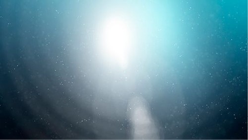 Leben nach dem Tod