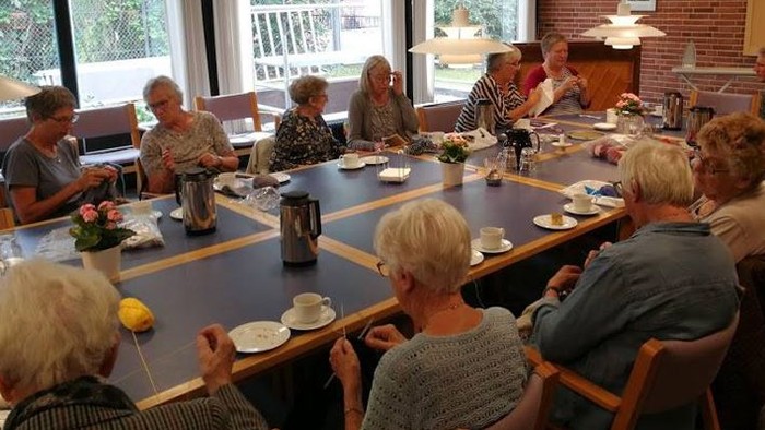 En gruppe ældre folk sidder sammen om bordet og spiser.