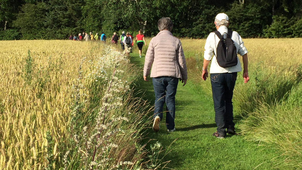 Pilgrimsvandring palmesøndag Se video klik på billedet - vi går fra Føns kirke til Husby kirke