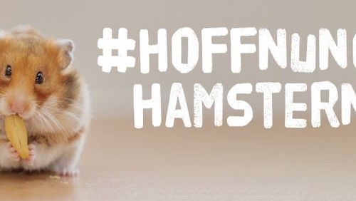 Am Ostersonntag: „Hoffnung Hamstern“ an der Friedenskirche