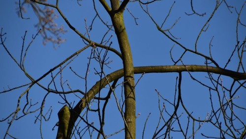 Gutes Wort für Karfreitag, 10. April