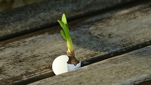 Der Osterbrief an die Gemeinde
