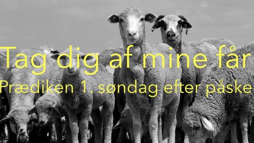 Tag dig af mine får - 1.søndag efter påske