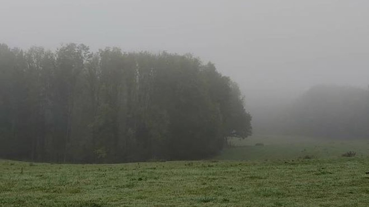 Morgengebet