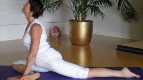 Hatha-Yoga-Onlinekurs