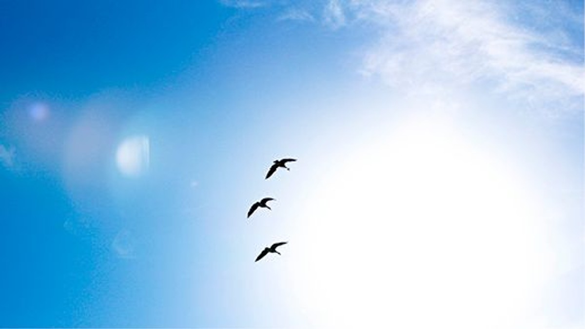 Kantate: 4. Sonntag nach Ostern