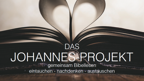 Das Johannes-Projekt