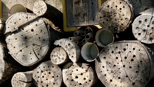 Insektenhotel selber bauen