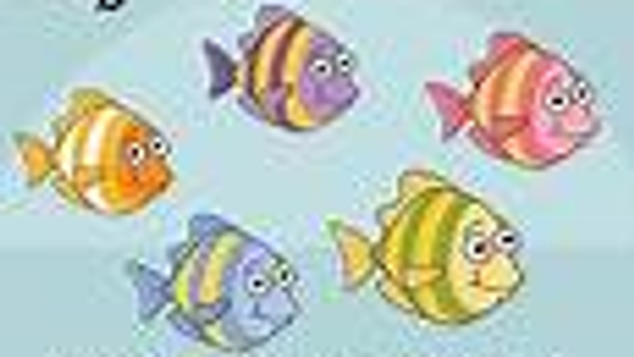 Mehrere bunte Fische schwimmen in einer Reihe.