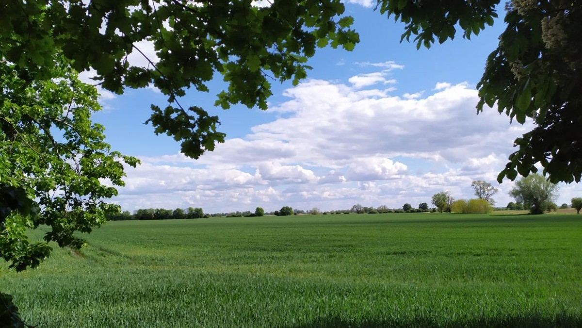 Sommer-Ferien-Gruß: Das Land ist hell und weit...