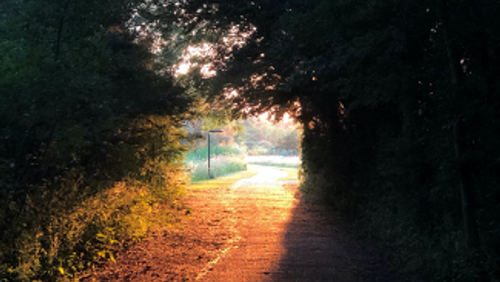 Thought for the week - 5 July 2020