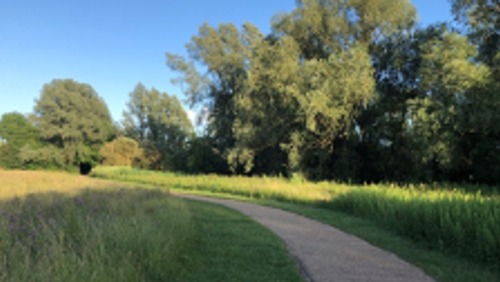 Thought for the week - 28 June 2020