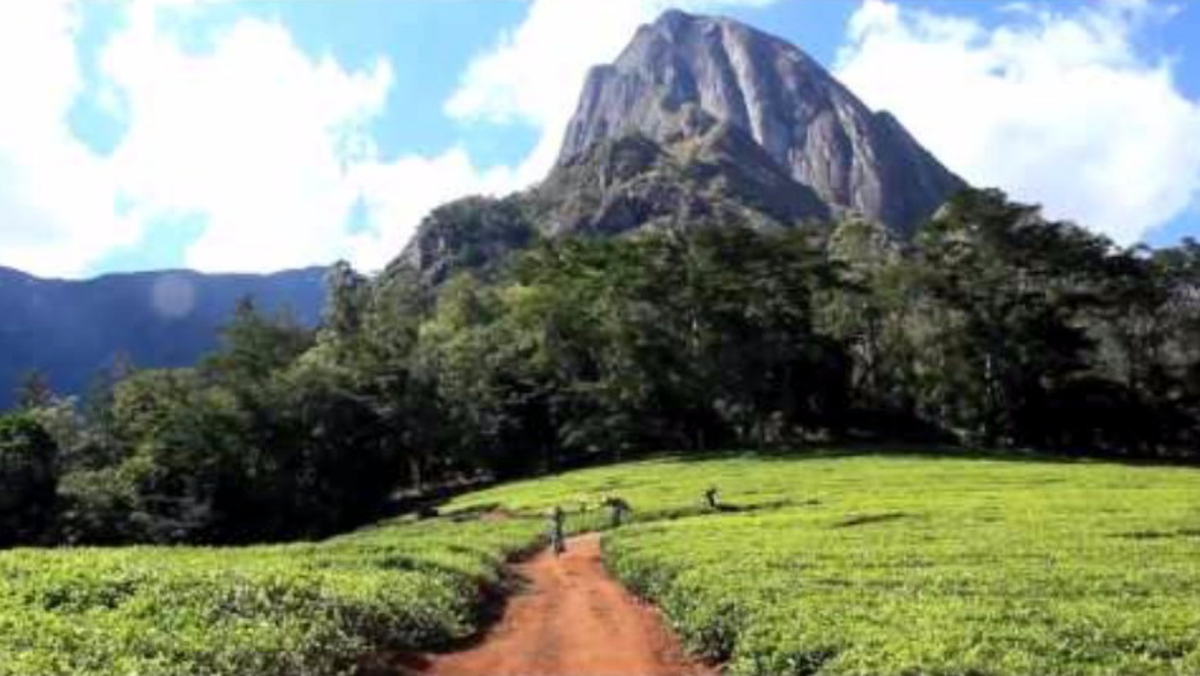Fundraiser for Mulanje Mission Hospital, Thursday 30th July 4:30pm on Zoom