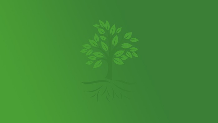 A green tree with roots, set against a green background