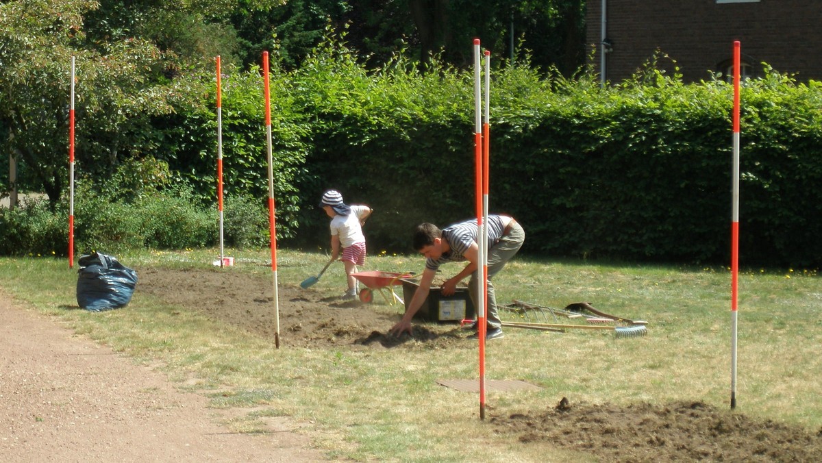 Blühstreifen für Honigbiene und Co.