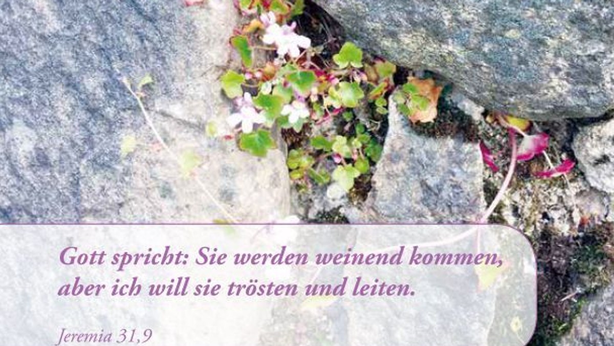 28. Evangelischer Gemeindebrief