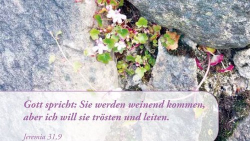 28. Evangelischer Gemeindebrief