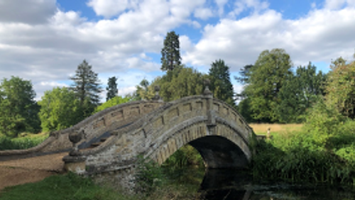 Thought for the week - 4 September 2020