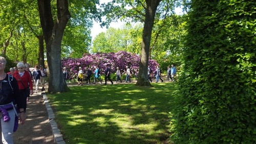 Pilgrimsvandring 29 maj 2019