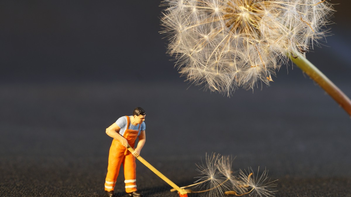 world clean up day -wir räumen auf!