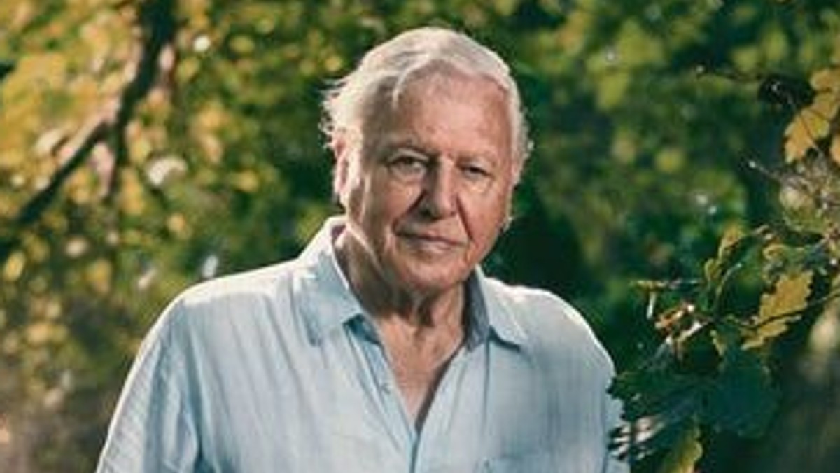 David Attenborough's Extinction: The Facts