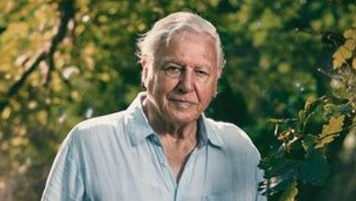 David Attenborough's Extinction: The Facts