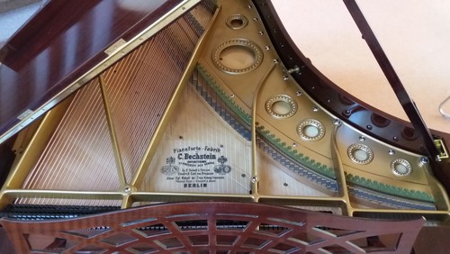 Flügelrestaurierung in der Coronapause