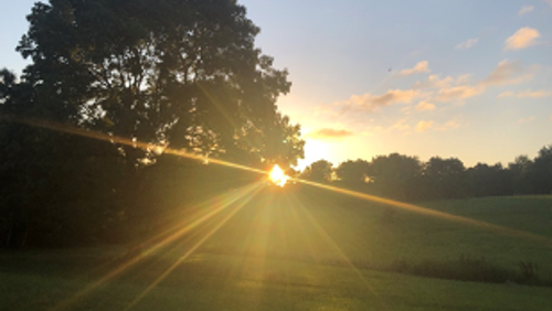 Thought for the week - 1 November 2020