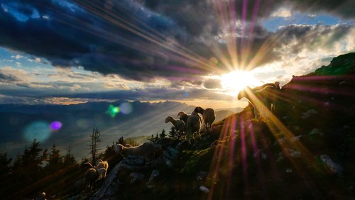 Sermon for Christ the King Sunday: Vulnerable Strength