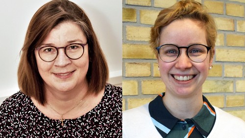 SYDSLESVIG | To præster ansat