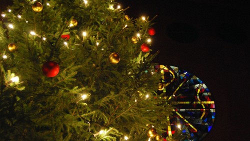 Wie der Weihnachtsbaum in unsere Kirche kommt