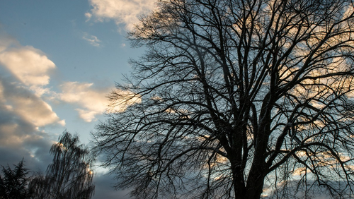 Nyt om meditativ time