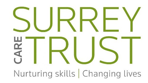 Could you be a mentor to a Young Person?