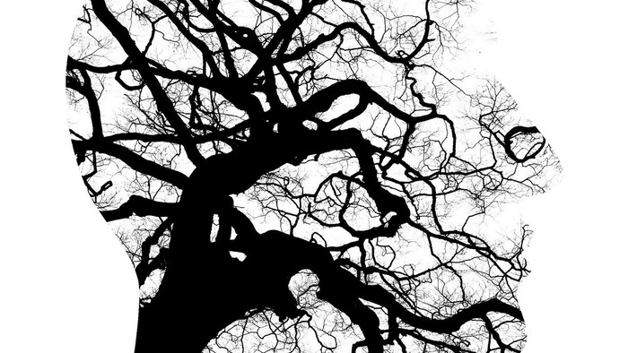 Et sort-hvid billedet af et hoved med en træstamme og grene som blodårer.