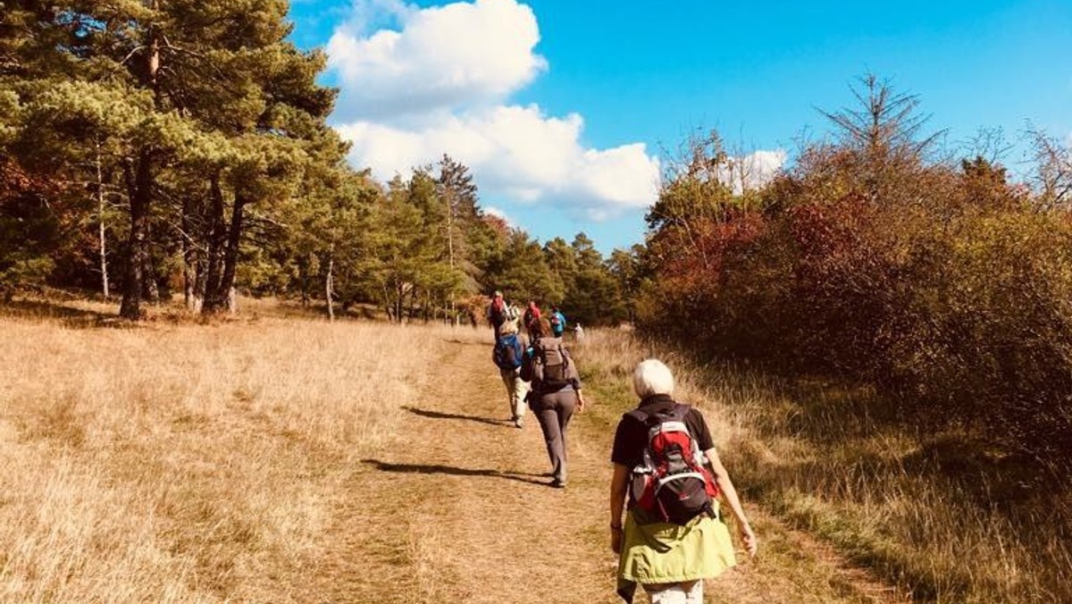 "Gehen ist ein Abenteuer" Blog 3: Spuren hinterlassen