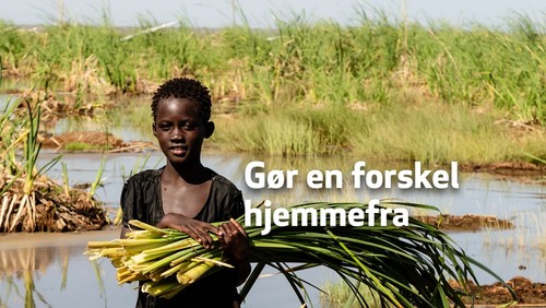 Folkekirkens Nødhjælp Indsamling