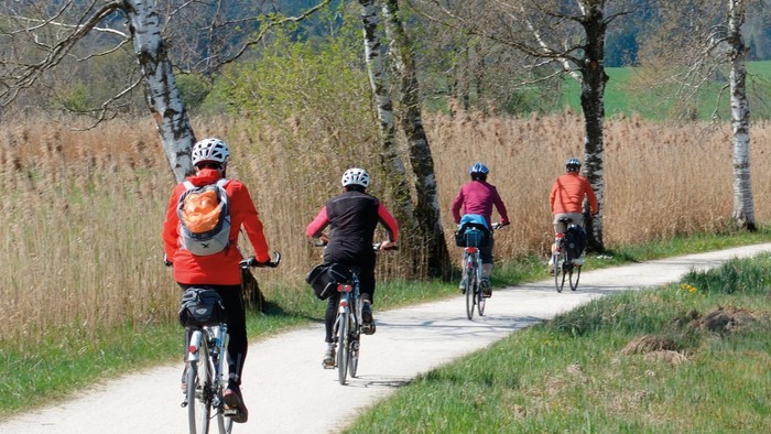 Eine Gruppe von Radfahrern fährt auf einem Feldweg durch die Natur