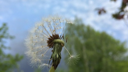 Klimafasten – 5. Wochenthema: einfaches Leben