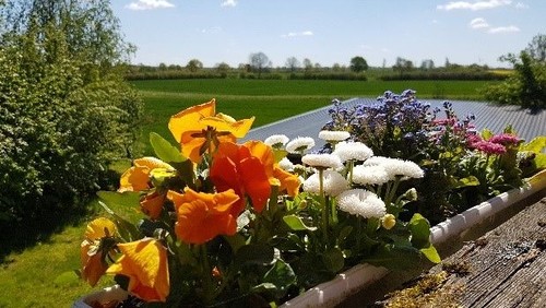 Frühlingsbeginn