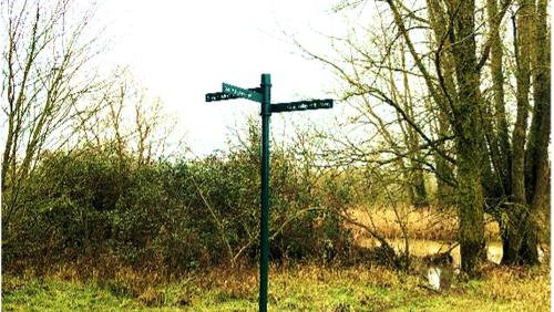 Thought for the week - 21 March 2021