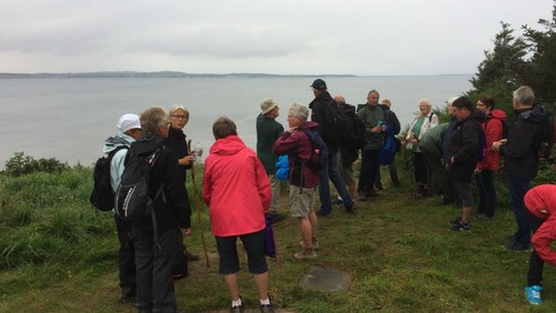Pilgrimsvandringer