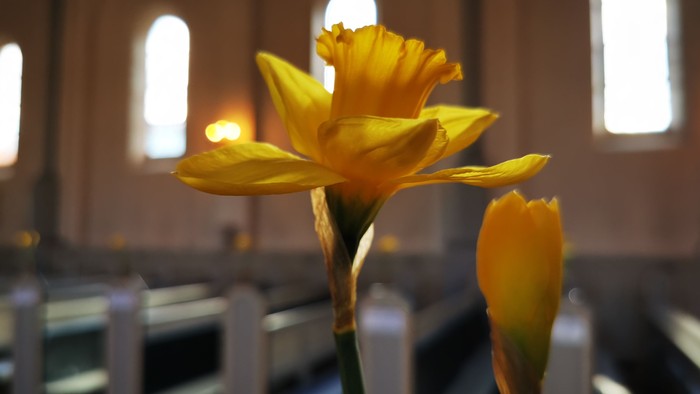 Blog image