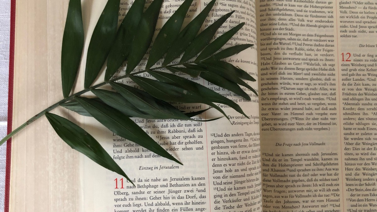 Zweige zum Mitnehmen am Palmsonntag