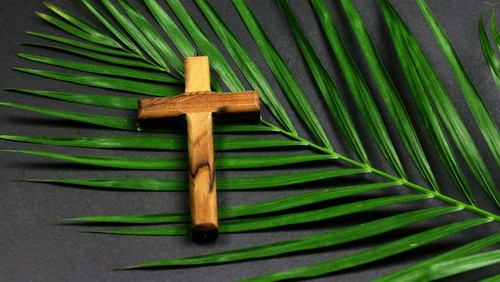 Palm Sunday Sermon: Our Hope has Arrived