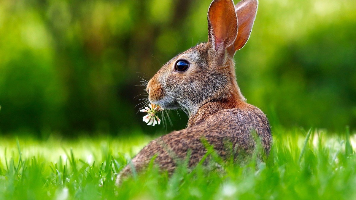 Ostern für Kinder und Familien