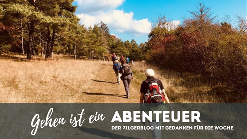 Blog 11: Bewusst gehen