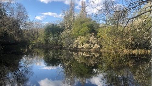 Thought for the week - 18 April 2021