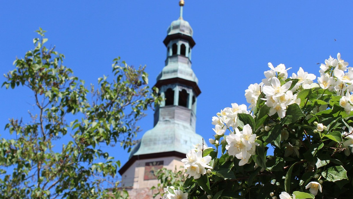 Einführungsgottesdienst am 6. Juni – mit Anmeldung